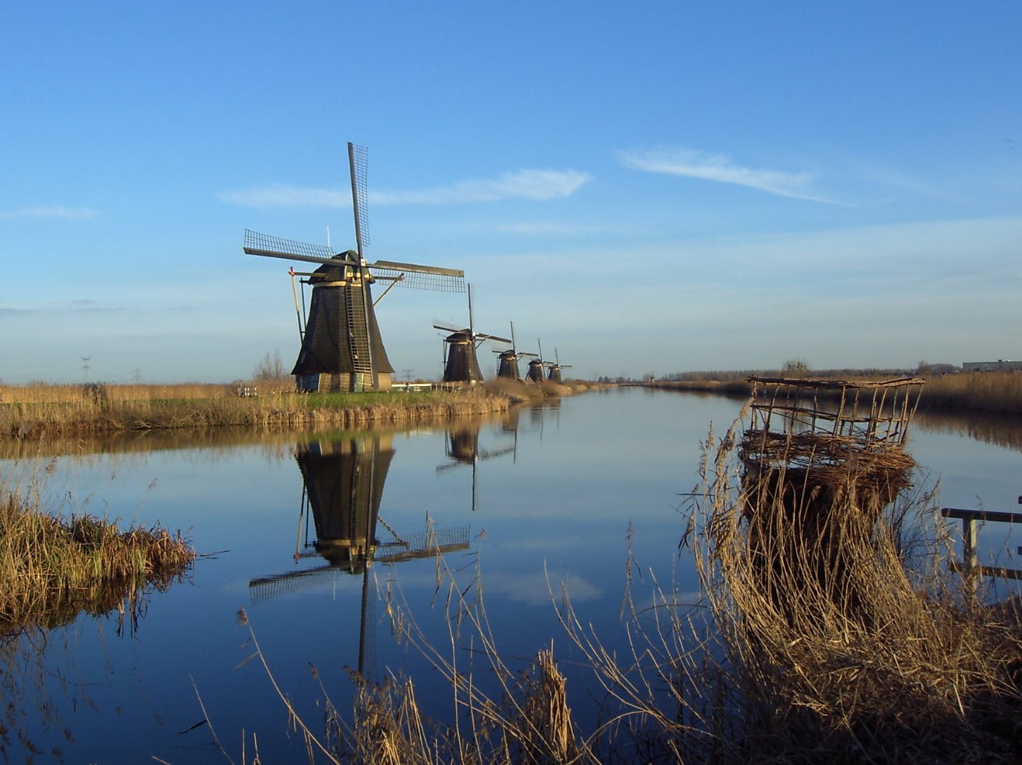 Molinos de Kinderdijk